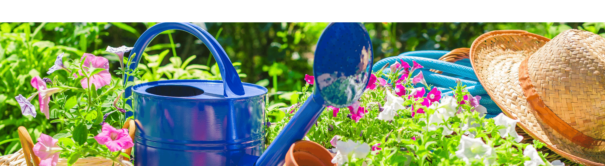 Gardening tools and flowers