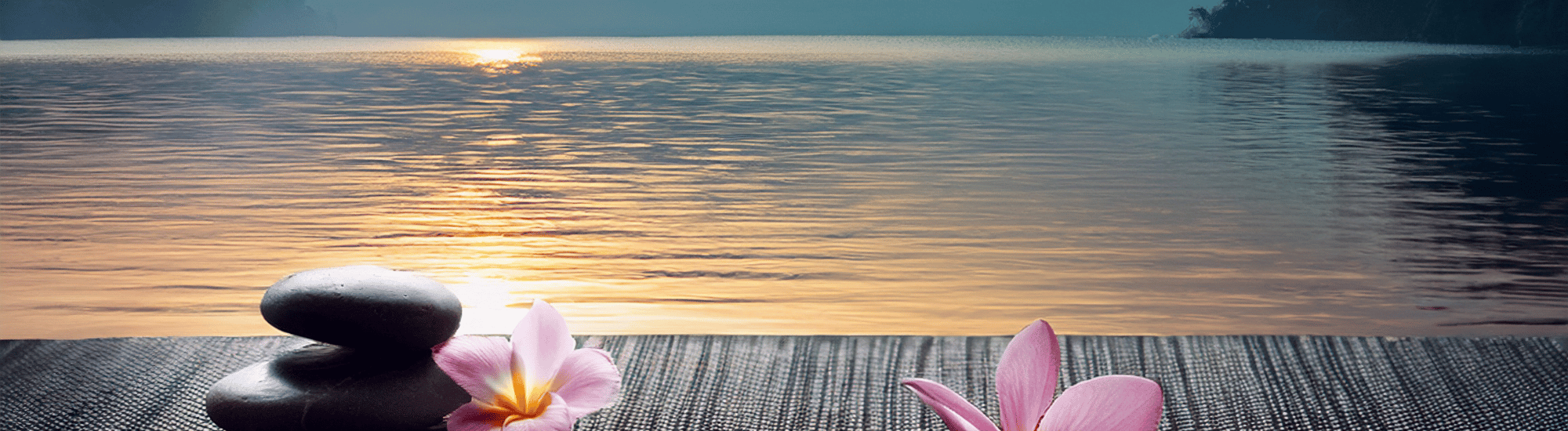 Rocks and flowers on dock overlooking water